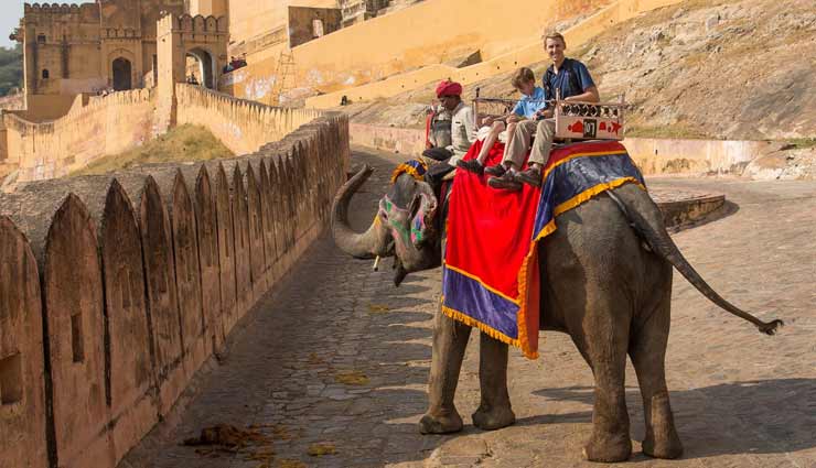 jaipur,outdoor activities to try in jaipur,tree house trip,4 hour elephant ride,atv bike ride,zorbing,jungle safari,rifle shooting