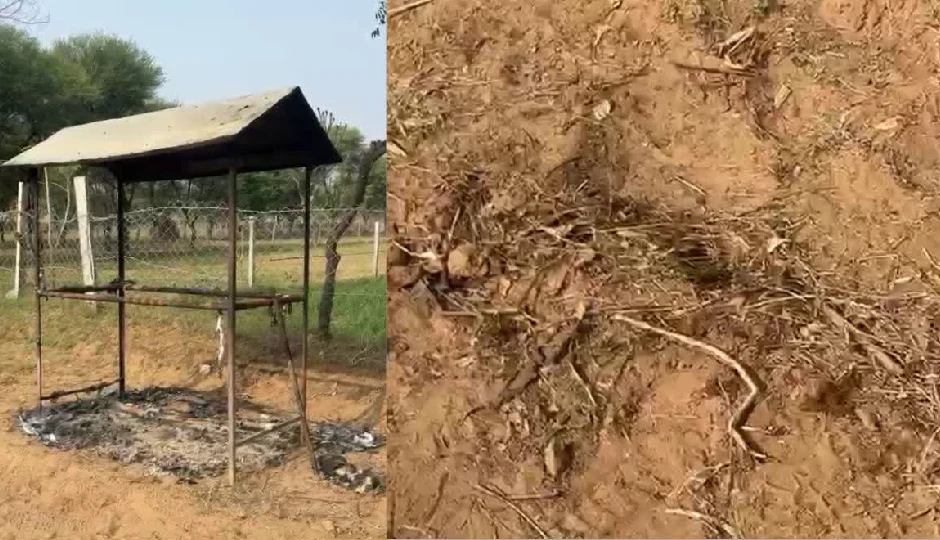 जयपुर: युवक-युवती पर पेट्रोल छिड़ककर जिंदा जलाने का प्रयास, दोनों 60-70% झुलसे