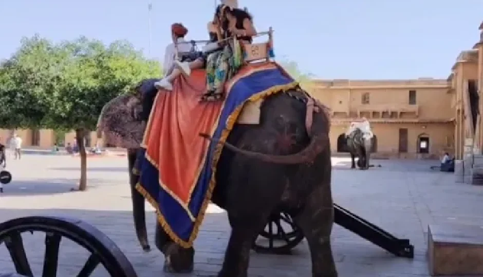 आमेर महल में हाथी सवारी फिर शुरू, किराया ₹2500, पर्यटकों और महावतों में उत्साह की लहर