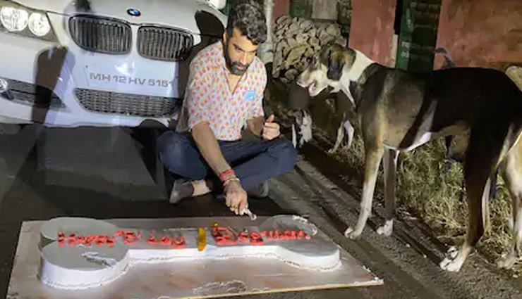  जयपुर /  इस शख्स ने सड़क पर कुत्तों के बीच केक काटकर मनाया अपना जन्मदिन, 12 हजार से ज्यादा कुत्तों को खिलाया खाना 