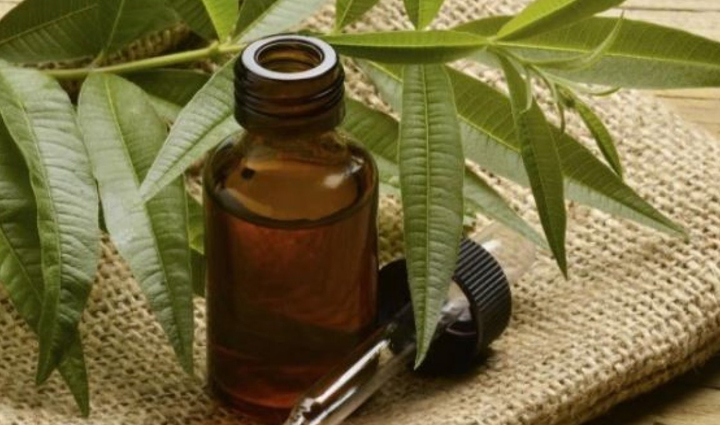 is it taking time to heal wounds take help of these home remedies,Health,healthy living