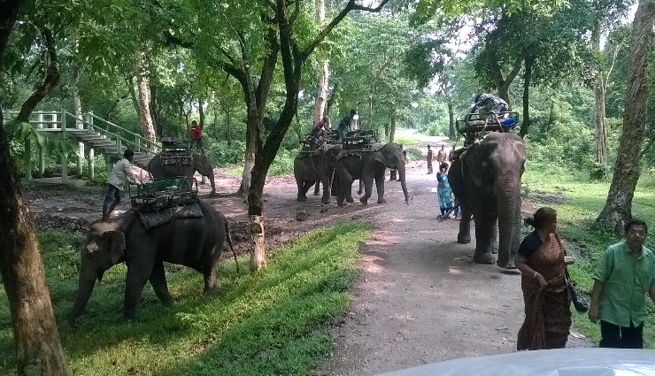 trekking near kolkata,sundarbans national park trek,sandakphu-phalut trek,singalila national park trek,neora valley national park trek,buxa tiger reserve trek,gorumara national park trek,garh panchkot trek,ayodhya hills trek,susunia hill trek,jaldapara national park trek,trekking destinations near kolkata,adventure sports kolkata,nature trails near kolkata