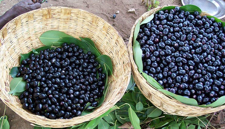 healthy living,read this amazing benefits of jambul,jambul benefits