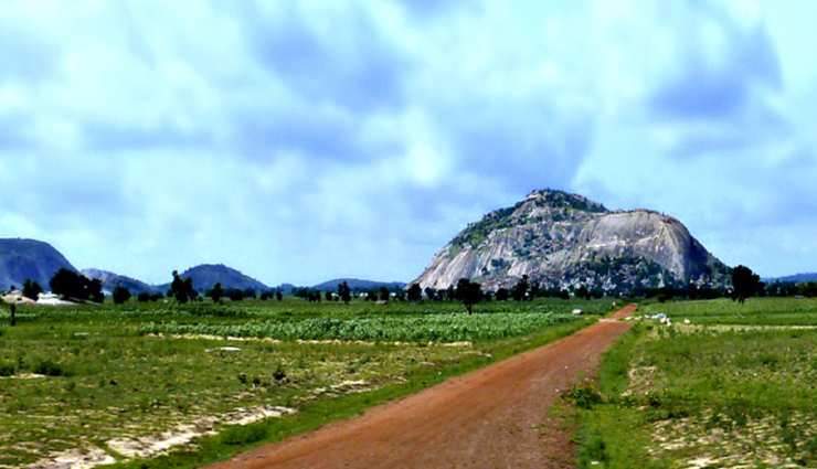 weird news,weird incident,cows in exchange for ak 47,ak 47 rifles,zamfara state,nigeria