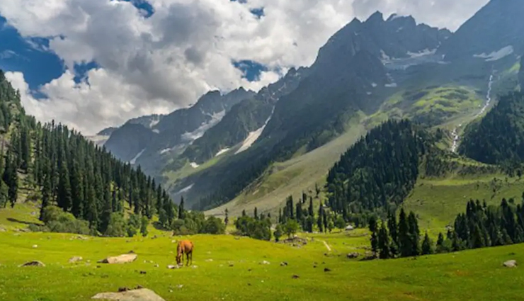 india,every food lover must visit in india,india travel,india tourism,tourist places in india