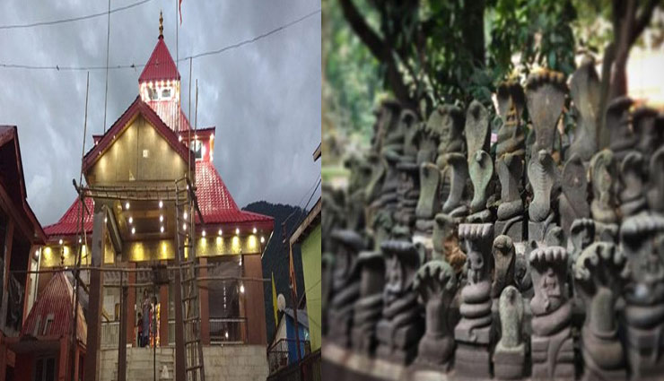 snakes temple,shiv,sawan,sawan 2018 ,नागदेवता,सावन,सावन 2018