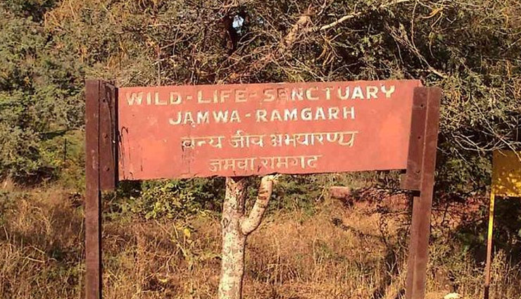 10 wildlife sanctuaries near jaipur,wildlife sanctuaries near jaipur,best wildlife parks near jaipur,ranthambore national park,sariska tiger reserve,keoladeo national park,ramgarh vishdhari wildlife sanctuary,jhalana safari park,nahargarh biological park,jamwa ramgarh wildlife sanctuary,keladevi wildlife sanctuary,tal chhapar wildlife sanctuary,desert national park,jaipur nature destinations,wildlife experiences near jaipur,wildlife tourism rajasthan