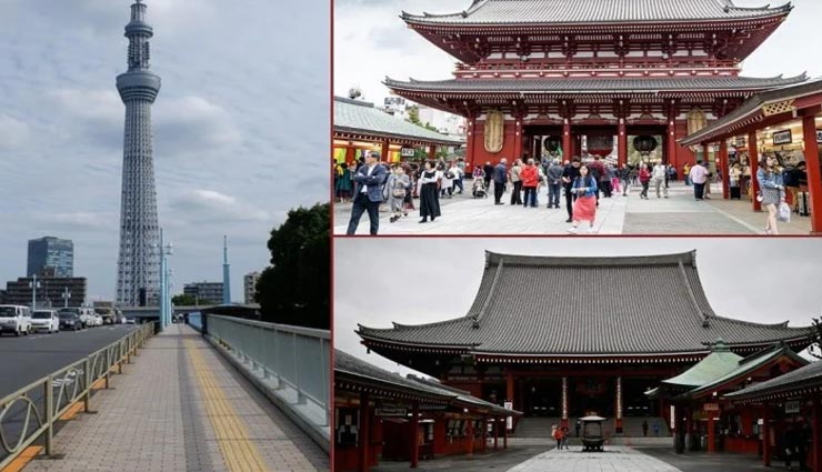 इस देश की सरकार उठा रही पर्यटकों के घूमने का खर्च, जानें यह अनोखी स्कीम