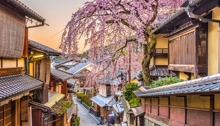 fascinating facts,fascinating facts about japan,japan