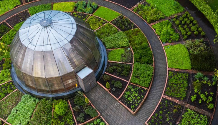 bogota,things you see in bogota,bogota travel,museo del oro,museo botero,cerro monserrate,bogota graffiti tour,andres carne de res,jardin botanico de bogota,la candelaria,travel,travel guide,travel tips