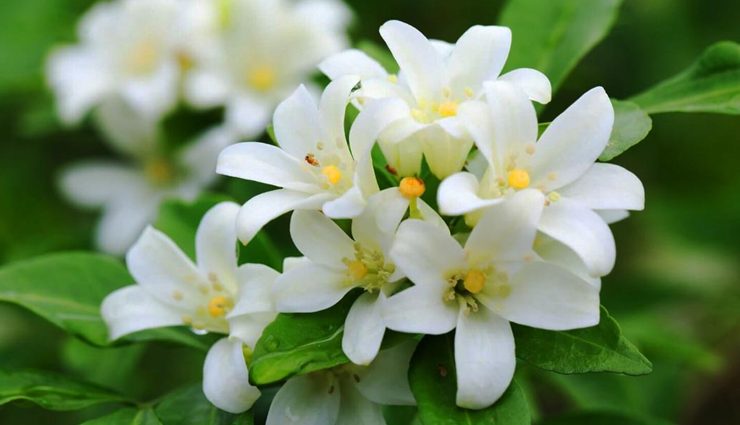 proven remedies for mouth sores,best home treatments for ulcers,reliable mouth ulcer home remedies,effective natural mouth sore cures,success stories for mouth sore remedies,best practices for mouth ulcers,top-rated home remedies for mouth sores,effective solutions for canker sores,trusted mouth sore remedies,well-tested home treatments,,preventing and treating mouth sores at home,,preventive measures for mouth ulcers,home prevention of mouth sores,dietary changes to prevent mouth sores,lifestyle tips for avoiding mouth ulcers,oral hygiene for mouth sore prevention,prevention and care for mouth sores,routine care for mouth ulcer prevention,daily habits to avoid mouth sores,preventing recurring mouth ulcers,self-care to prevent mouth sores