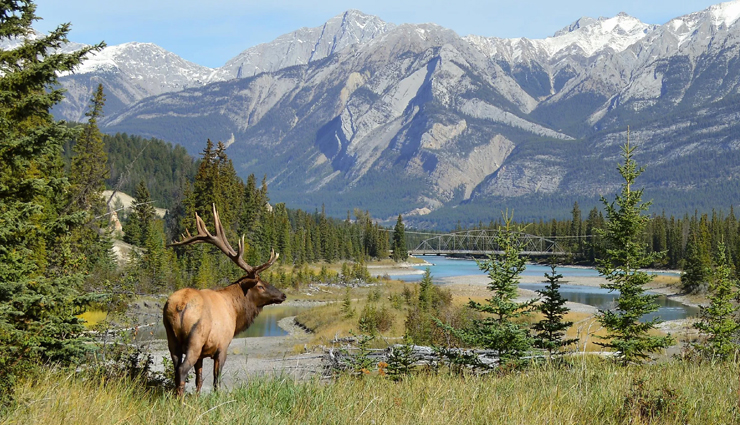 tourist places in canada,must-visit destinations in canada,best places to visit in canada,top tourist spots in canada,canada travel destinations,explore canada attractions,canadian tourist hotspots,unmissable places in canada,canada top travel destinations,popular tourist places in canada