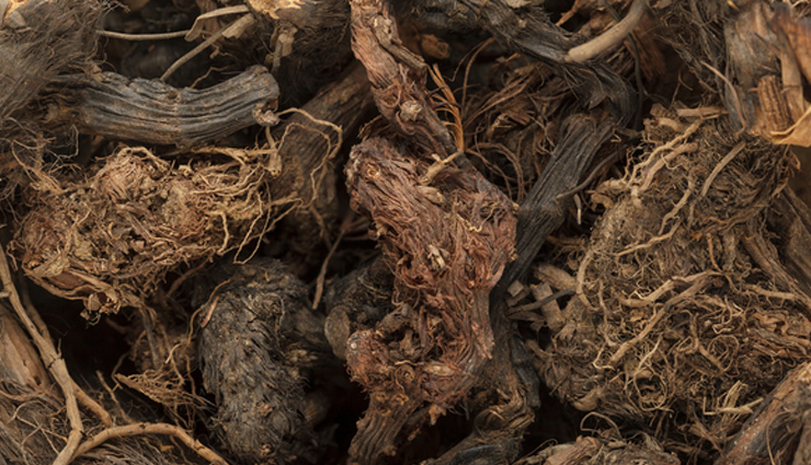 herbal oils to provide benefits to hair,hair oil,hair care tips,beauty tips,beauty hack