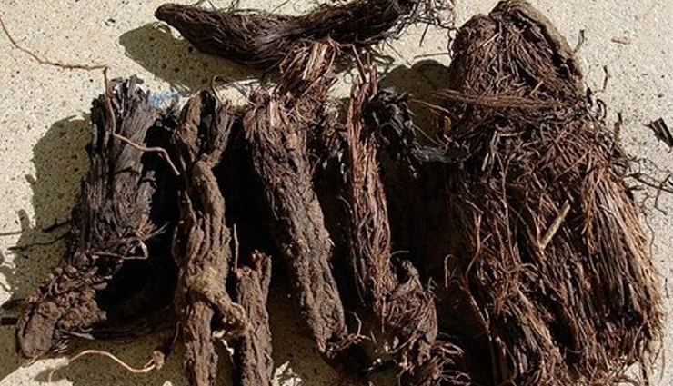 indian herbs for stress relief,ayurvedic herbs for stress,stress-relieving herbs,natural remedies for stress,indian herbs to reduce stress,herbal remedies for stress and anxiety,stress-reducing herbs,ayurvedic stress relief,best herbs for stress management