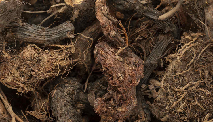 homemade hair dyes,hair dye,tips to hair dye,how to make hair dye at home,hair care tips,hair color,hair color tips,beauty,beauty tips