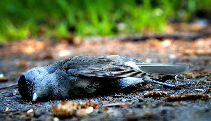 mysterious places in india,mysterious places,travel,travel guide