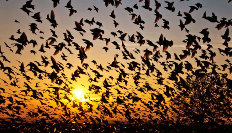 most mysterious places in india,travel,holidays