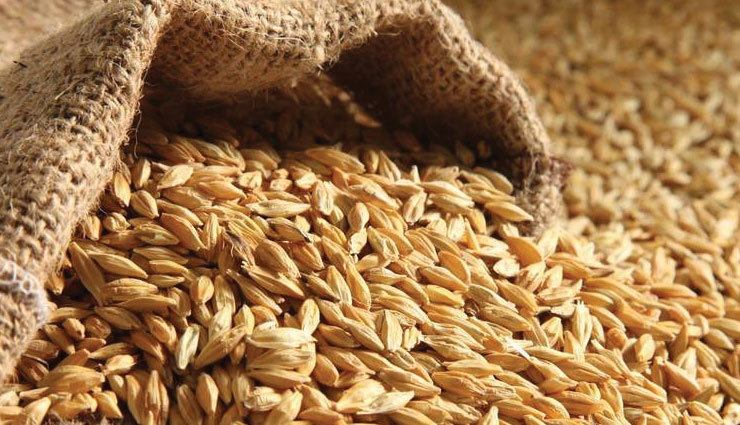 ekadashi,food items,astrology,astrology tips