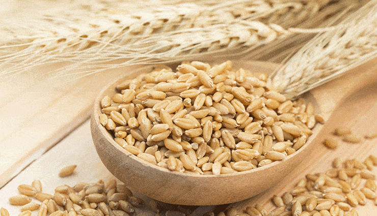 lemons,sugarcane,barley,turmeric,ginger,home remedies,home remedies for jaundice,jaundice,Health tips,fitness tips