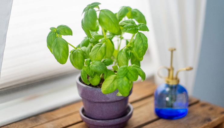 liver friendly natural foods to cure jaundice,Health,healthy living