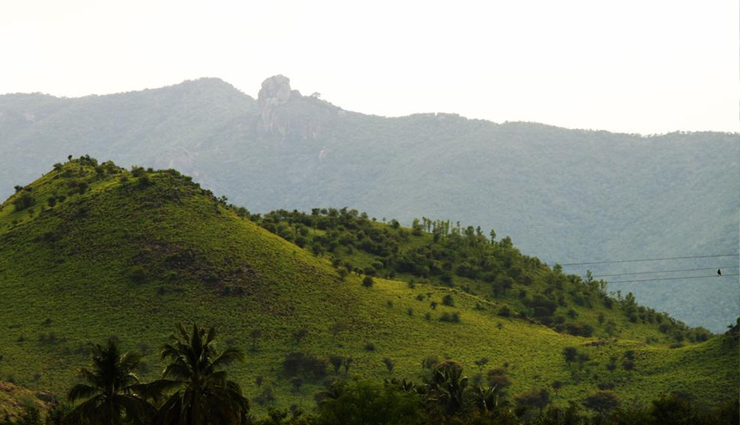 offbeat tourist places in tamil nadu,hidden gems of tamil nadu,unexplored destinations in tamil nadu,tamil nadu secret treasures,lesser-known attractions in tamil nadu,unique places to visit in tamil nadu,tamil nadu hidden tourist spots,underrated places in tamil nadu,tamil nadu non-touristy places,quaint villages in tamil nadu,tamil nadu cultural experiences,eco-friendly tourism in tamil nadu,tamil nadu heritage sites,tamil nadu historical villages,tamil nadu nature retreats,tamil nadu hidden temples,tamil nadu scenic drives,tamil nadu off the beaten path,remote villages in tamil nadu,tamil nadu serene getaways