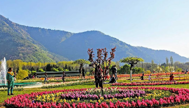 botanical gardens india,famous botanical gardens,lal bagh bangalore,ooty botanical garden,national botanical research institute,mughal gardens delhi,semmozhi poonga chennai,acharya jagadish chandra bose garden,agri-horticultural society kolkata,empress botanical garden pune,jawaharlal nehru tropical garden,raja’s seat garden madikeri,indian botanic gardens,gardens to visit india,indias botanical wonders