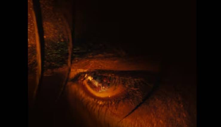 शाहरुख खान की मूवी ‘जवान’ के नए पोस्टर में दिखी इस स्टार की इंटेंस आंखें, कैप्शन भी है धांसू
