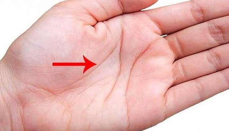 जीवन रेखा बताती हैं सेहत और हादसों के बारे में बहुत कुछ, जानें इसके बारे में