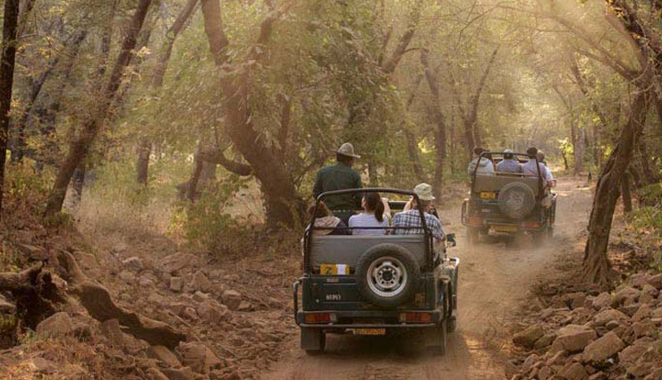 things to do in jim corbett national park,adventure activities in jim corbett,wildlife safari in jim corbett,relaxation and rejuvenation in jim corbett,camping in jim corbett,trekking in jim corbett,birdwatching in jim corbett,cultural experiences in jim corbett,exploring nearby attractions in uttarakhand,accommodation options in jim corbett