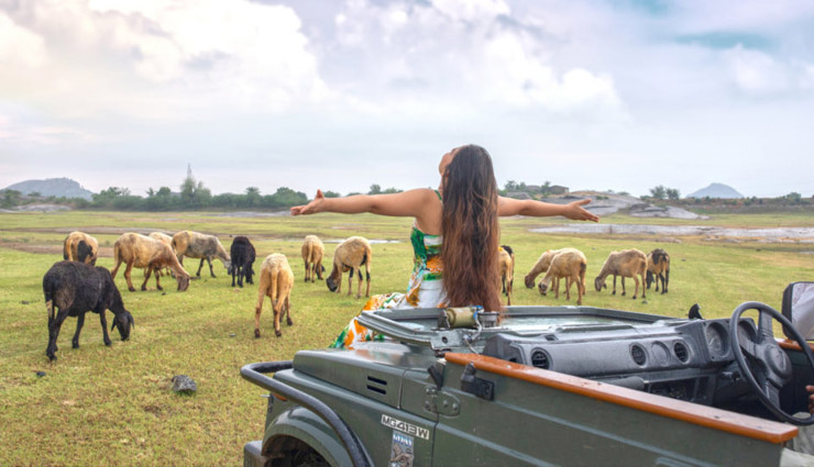 ranakpur tourist attractions,top things to do in ranakpur,ranakpur jain temple visit,jungle safari in ranakpur,trekking routes in ranakpur,best time to visit ranakpur,ranakpur wildlife safari,ranakpur dam sunset views,horse riding tours in ranakpur,ranakpur must-visit places,ranakpur local shopping guide,historical temples in ranakpur,jeep safari in ranakpur forest,ranakpur wolf spotting tours,muchal mahavir temple ranakpur