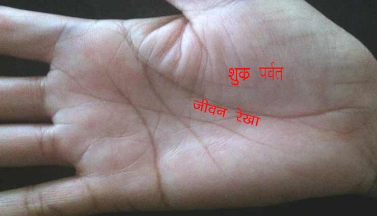 astrology tips,astrology tips in hindi,palmistry,lifeline,health and accidents