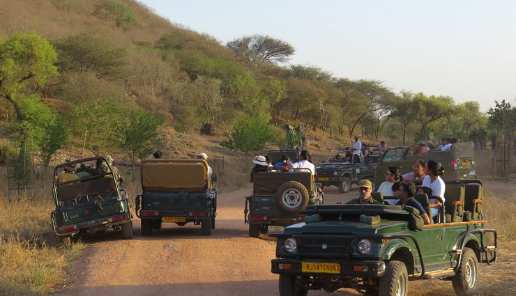 10 wildlife sanctuaries near jaipur,wildlife sanctuaries near jaipur,best wildlife parks near jaipur,ranthambore national park,sariska tiger reserve,keoladeo national park,ramgarh vishdhari wildlife sanctuary,jhalana safari park,nahargarh biological park,jamwa ramgarh wildlife sanctuary,keladevi wildlife sanctuary,tal chhapar wildlife sanctuary,desert national park,jaipur nature destinations,wildlife experiences near jaipur,wildlife tourism rajasthan