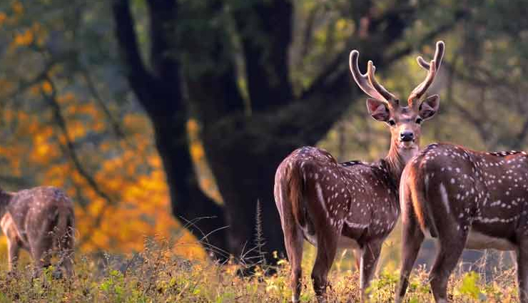 bhutan,beautiful places in bhutan,bhutan travel,bhutan travel guide,bhutan travel tips,travel