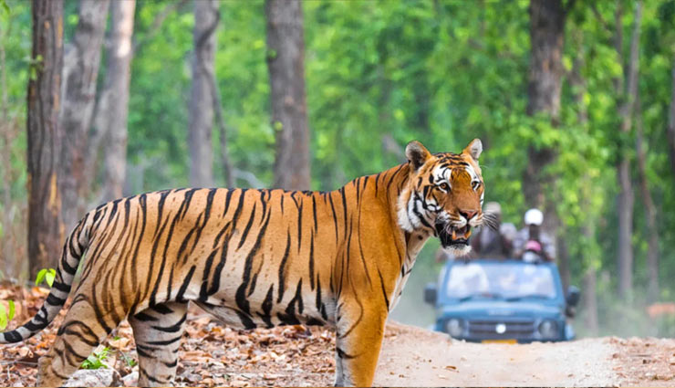 retirement,places to visit after retirement,shillong,jim corbett,sundervan,ooty,andaman,holidays,travel,tourism