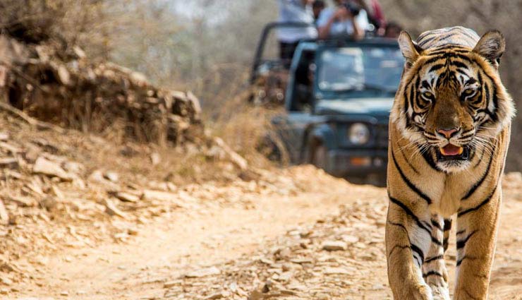 Facts About Jim Corbett National Park