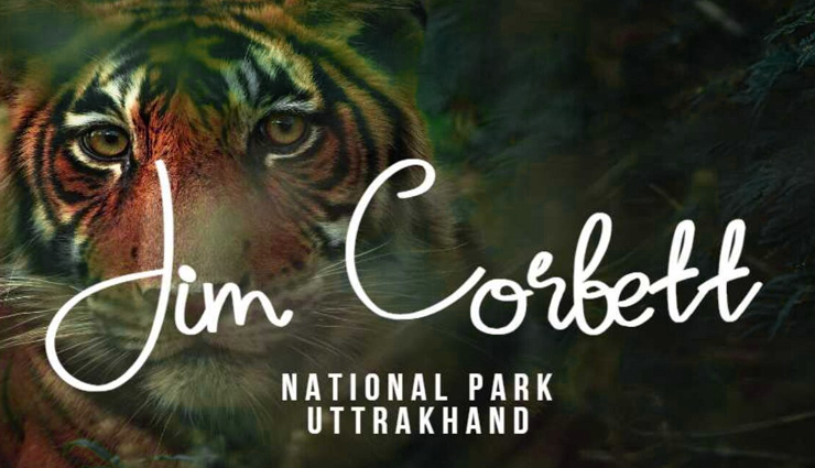 11 Things You Can Enjoy in Jim Corbett, Uttarakhand