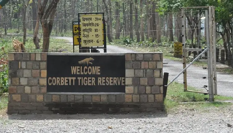 bengal tiger population in india,project tiger success,tiger reserves in india,top tiger reserves,best places to see tigers in india,tiger conservation india,national tiger conservation authority,tiger safari india,wildlife tourism in india,tiger protection efforts