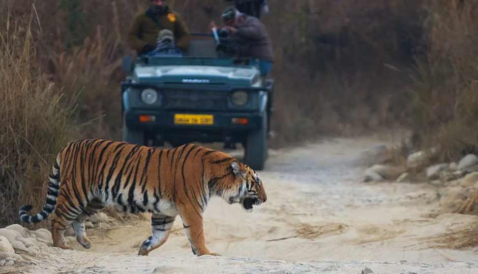 10 Things You Can Do in Jim Corbett