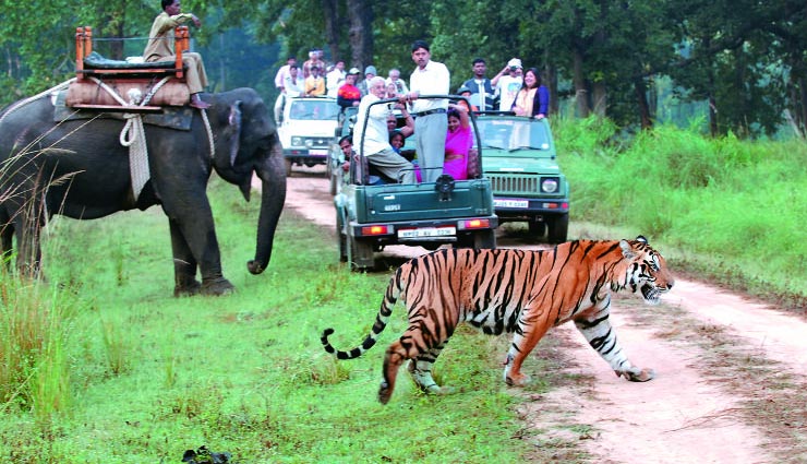 chandigarh,chandigarh tourism,places to visit near chandigarh,auli tourist place,jim corbett national park,amritsar tourist place,dalhousie tourist place,dharamsala tourist place,holidays