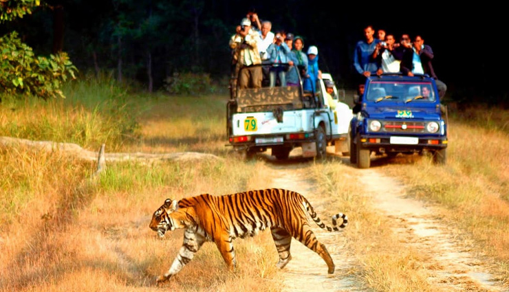Planning a Visit to Jim Corbett National Park? Don’t forget to check this list