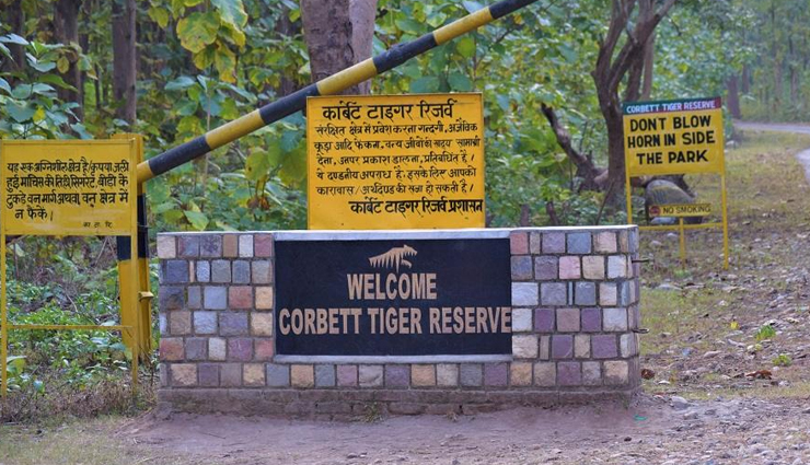 places to spot tigers,spotting tigers around the world,best tiger safari destinations,tiger-watching locations globally,top spots to see tigers in the wild,where to find tigers in the world,tiger sighting hotspots,best tiger habitats for wildlife enthusiasts,famous tiger reserves around the globe,exciting tiger-spotting locations worldwide