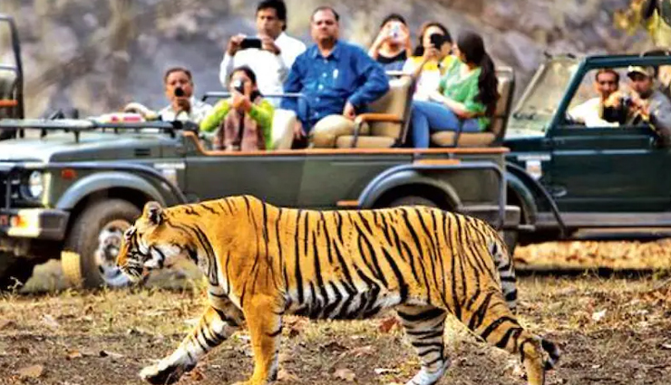 national parks of the country to see extinct animals,holidays,travel,tourism