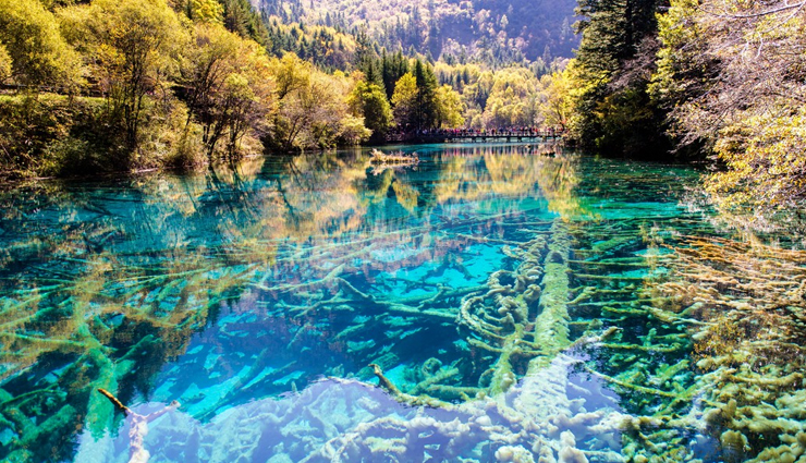 clearest water,world clearest water,places to enjoy world clearest water,travel,holidays