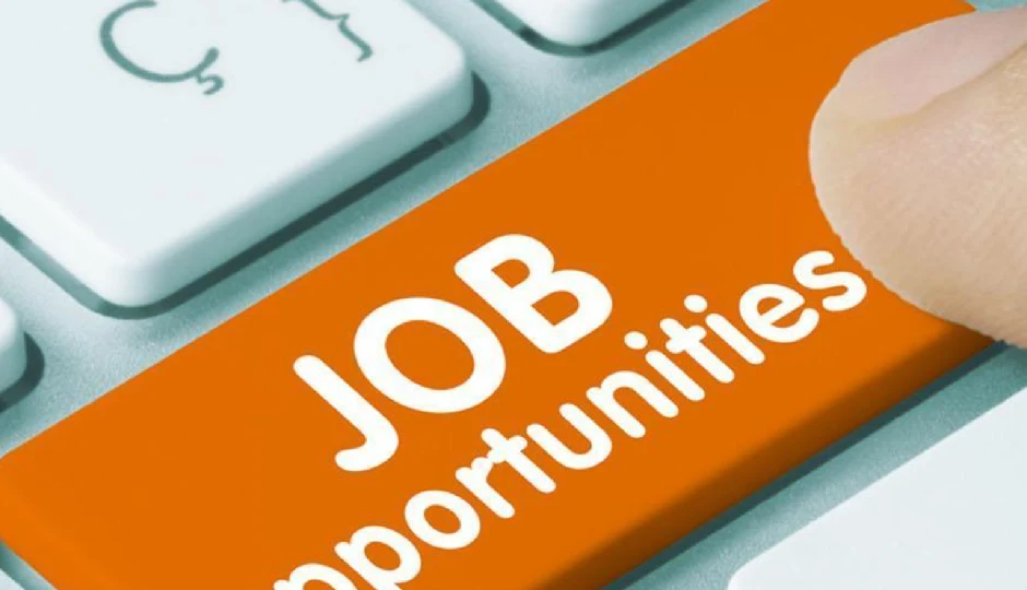 इनकम टैक्स विभाग में स्टेनो, टैक्स असिस्टेंट और MTS पदों पर भर्ती; आवेदन प्रक्रिया और योग्यता जानें