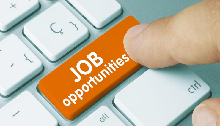 राजस्थान में निकली 988 पदों पर नौकरियां, 27 अगस्त तक कर सकते हैं आवेदन 