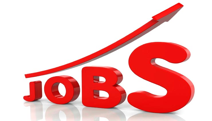 DSSSB ने निकाली 7236 पदों पर नौकरियां, जानें कहां करना होगा आवेदन 