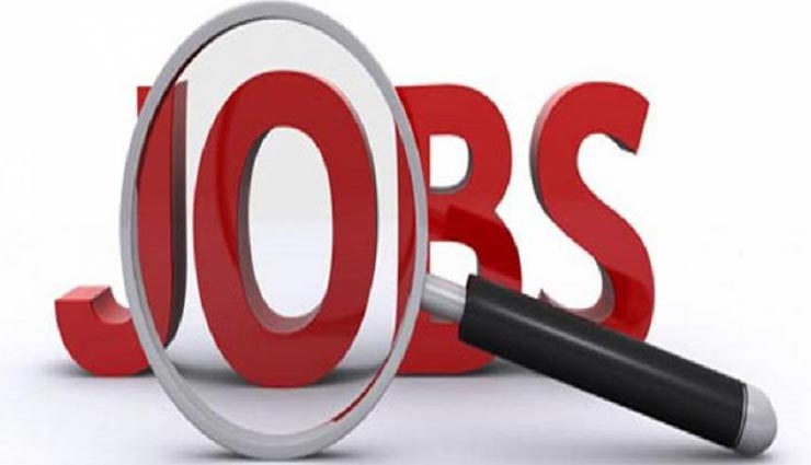 आंध्र प्रदेश में निकली 3211 पदों पर नौकरियां, इंटरव्यू में परफॉरमेंस के अनुसार होगा चयन 