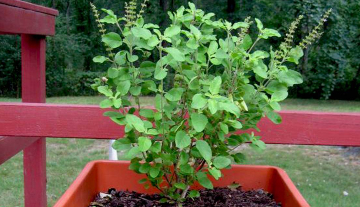 the problem of joint pain starts increasing in winter,these home remedies will give relief,Health,healthy living