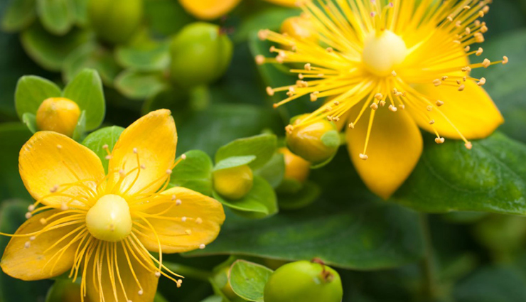 bipolar disorder,bipolar disorder treatment,bipolar disorder symptoms,bipolar disorder test,bipolar disorder definition,bipolar disorder treatment,bipolar disorder and alcohol,bipolar disorder assessment,bipolar disorder causes,bipolar disorder criteria,bipolar disorder case study,vitamin c bipolar disorder,hepatitis c bipolar disorder,bipolar disorder diagnosis,bipolar disorder depression,bipolar disorder disability,Health,Health tips