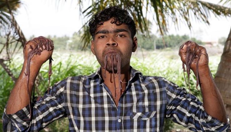 guinness world record,guinness book of records,guinness book of world records